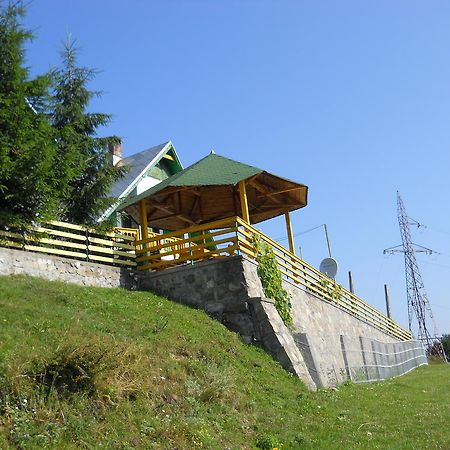 Pensiunea Luminita Ciungetu Exterior photo