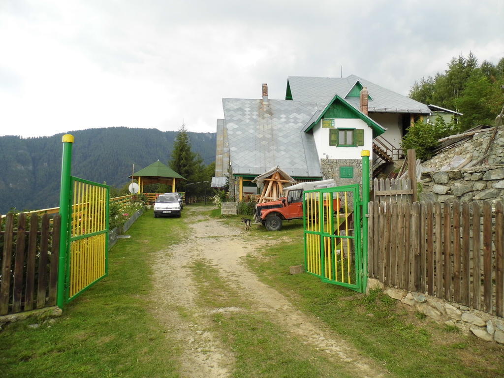Pensiunea Luminita Ciungetu Exterior photo